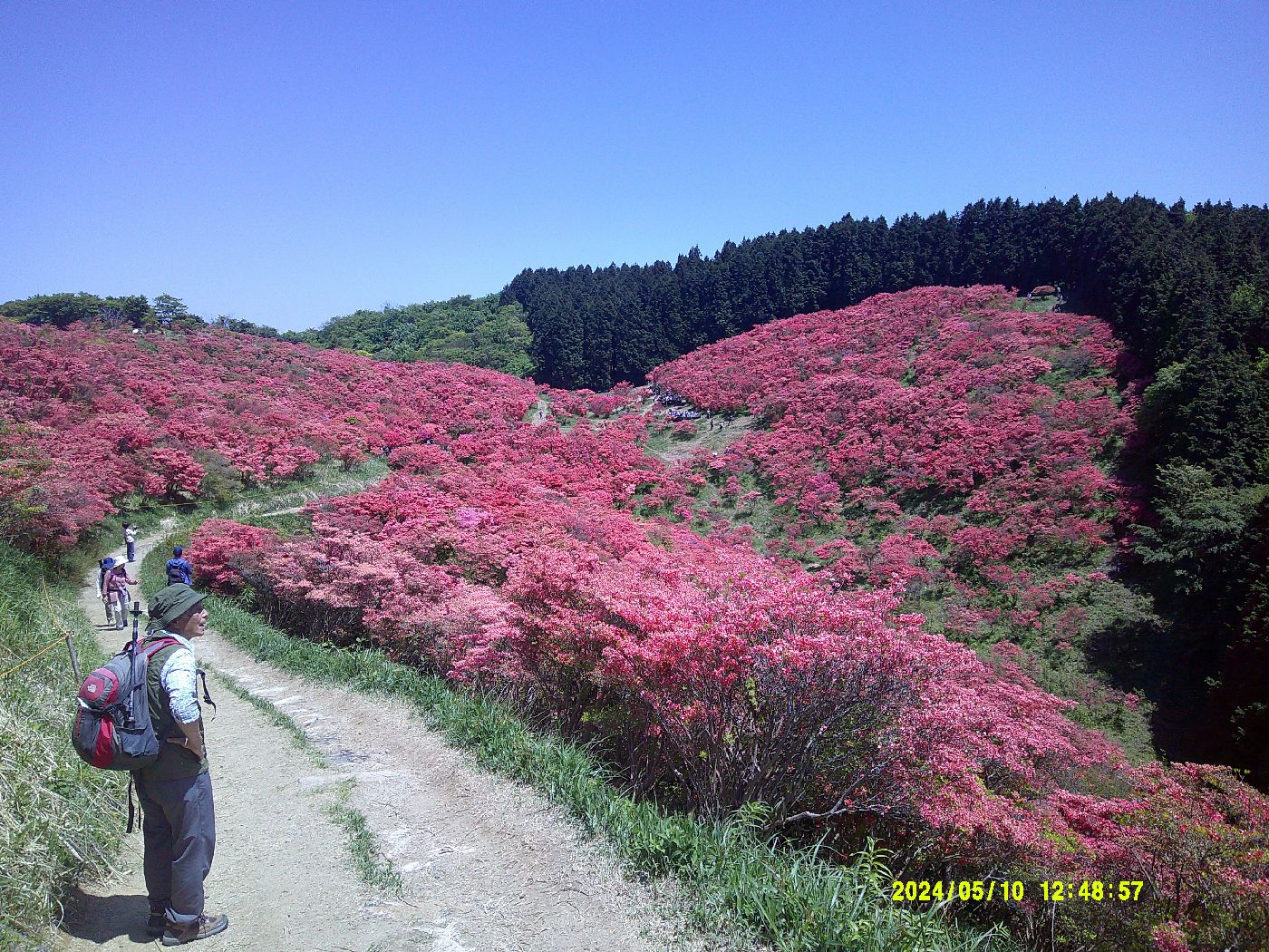 ２２．ツツジ園中央へ