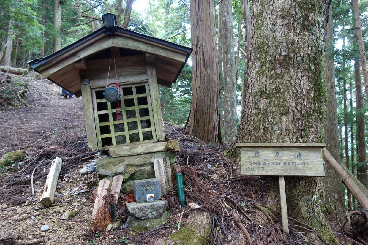 ４．摩尼峠で一休み