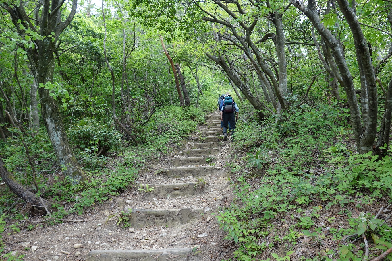 12. 清水谷への分岐から急坂が続く