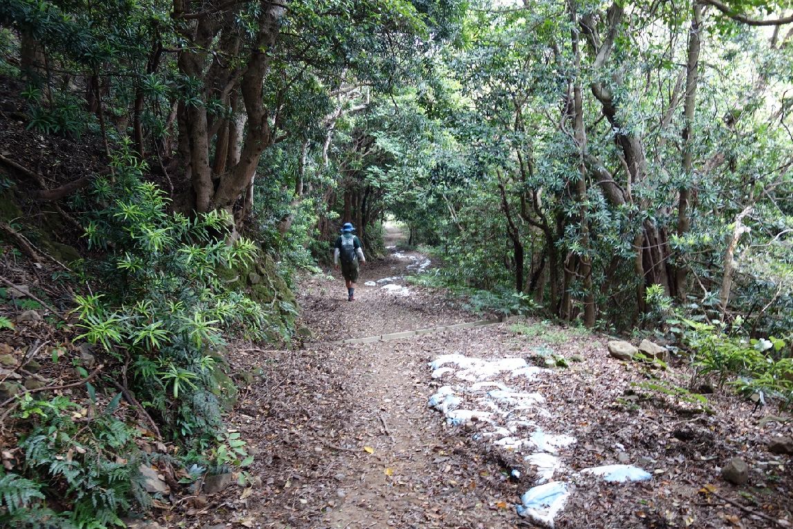 ２６．垂水分岐へ下って行く