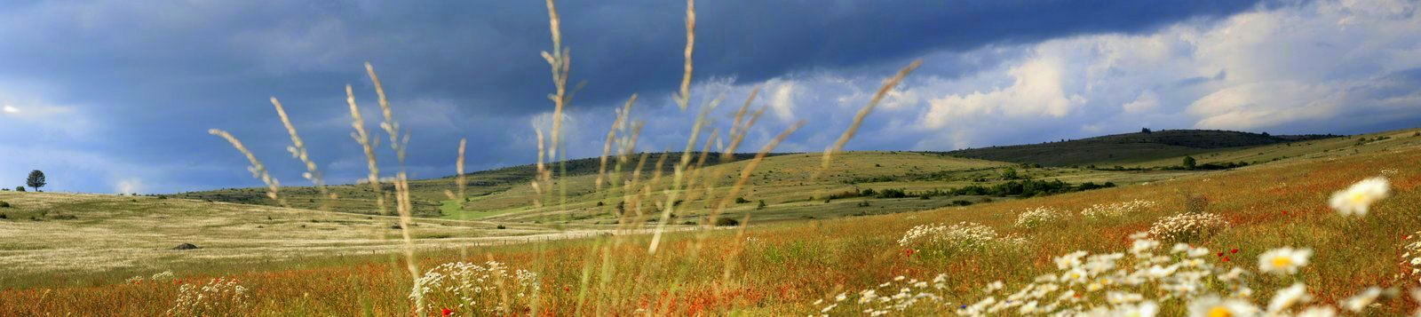 Paysage steppique du Causse Mejean - LOZERE Photo©NadineVilas