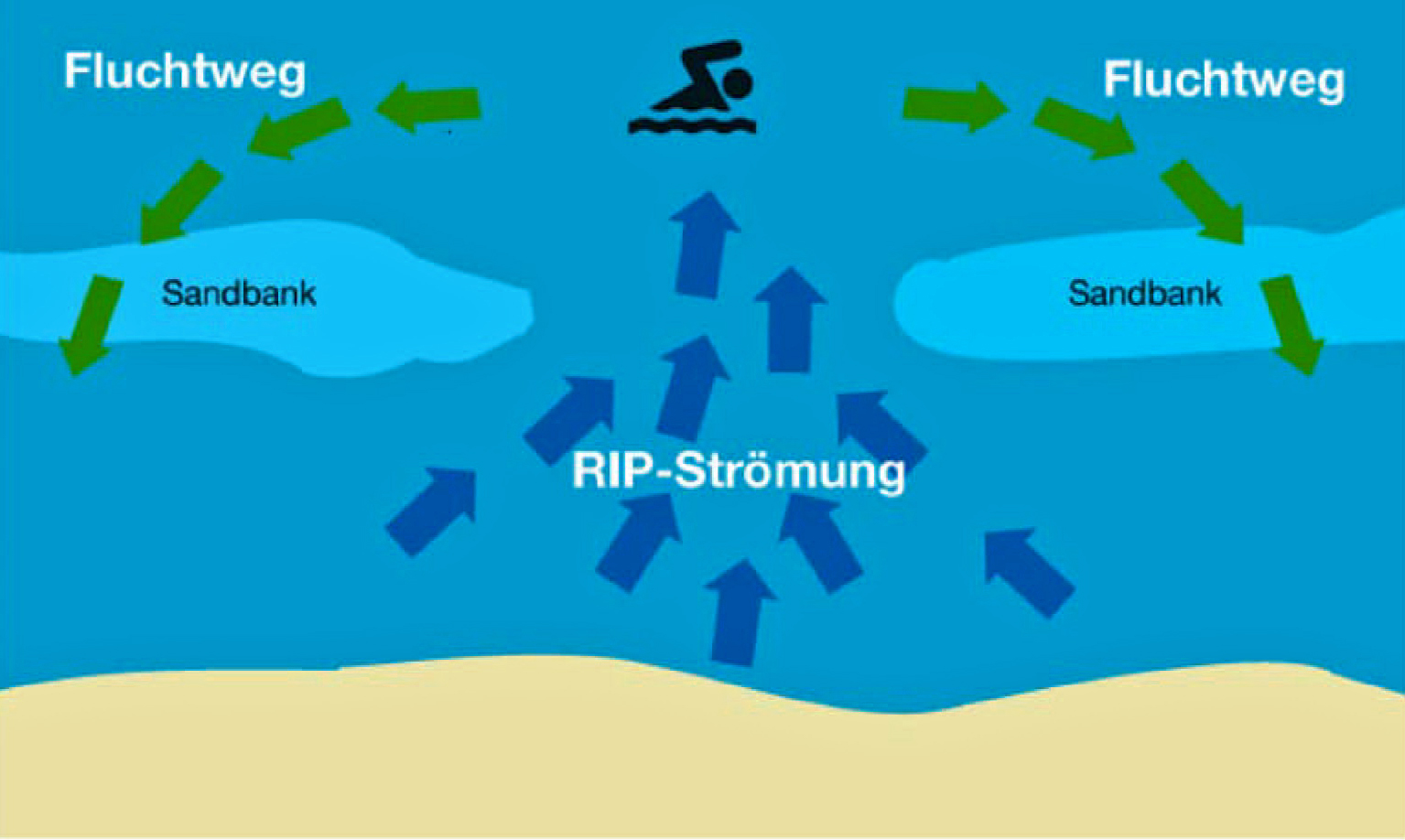 Das Meer - peterhahnprofs Webseite!