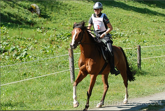 2010, Blitzingen mit Kosir