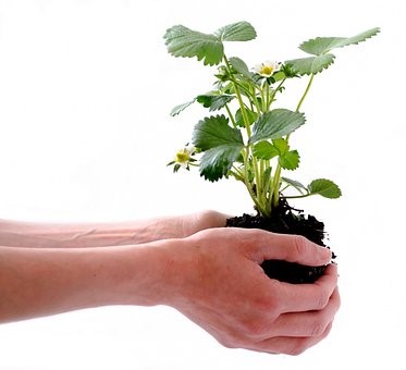 ISO 14001 Zertifiziert SenseAnywhere