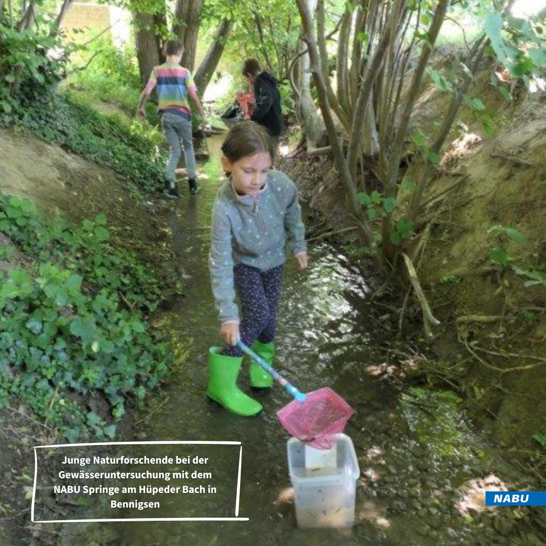 Mit Keschern bewaffnet werden Kleinlebewesen eingesammelt
