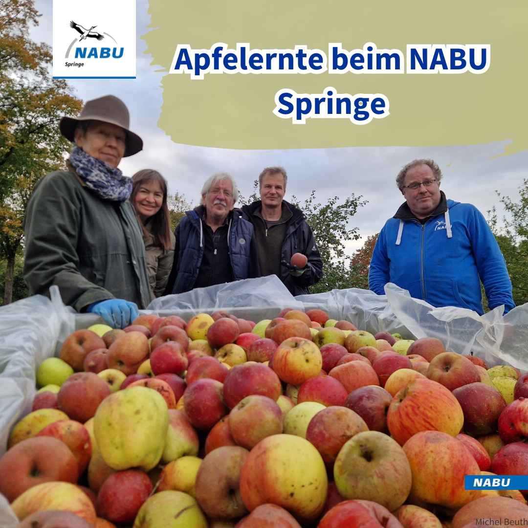 Die Truppe vor der Ernte