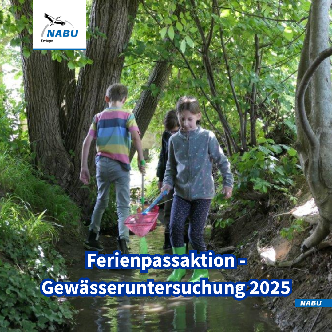 Junge Forscherinnen und Forscher am Hüpeder Bach