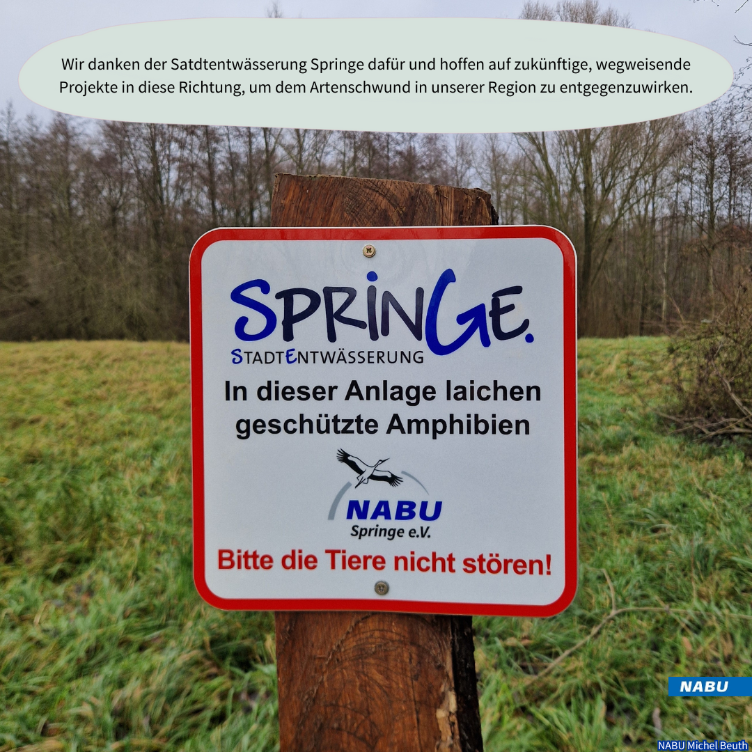 Hinweis auf Laichgebiet