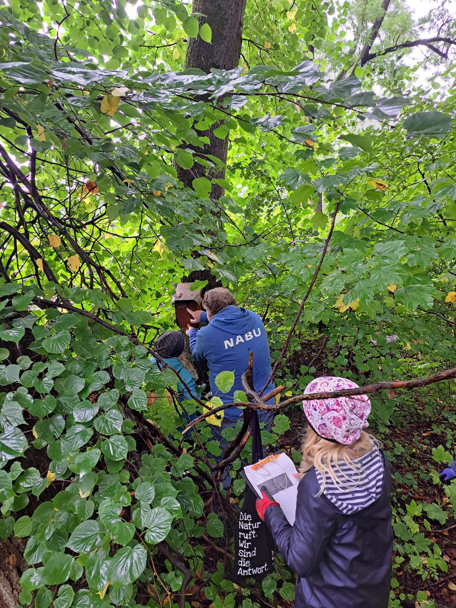 Kinder bei den Nistkastenkontrollen