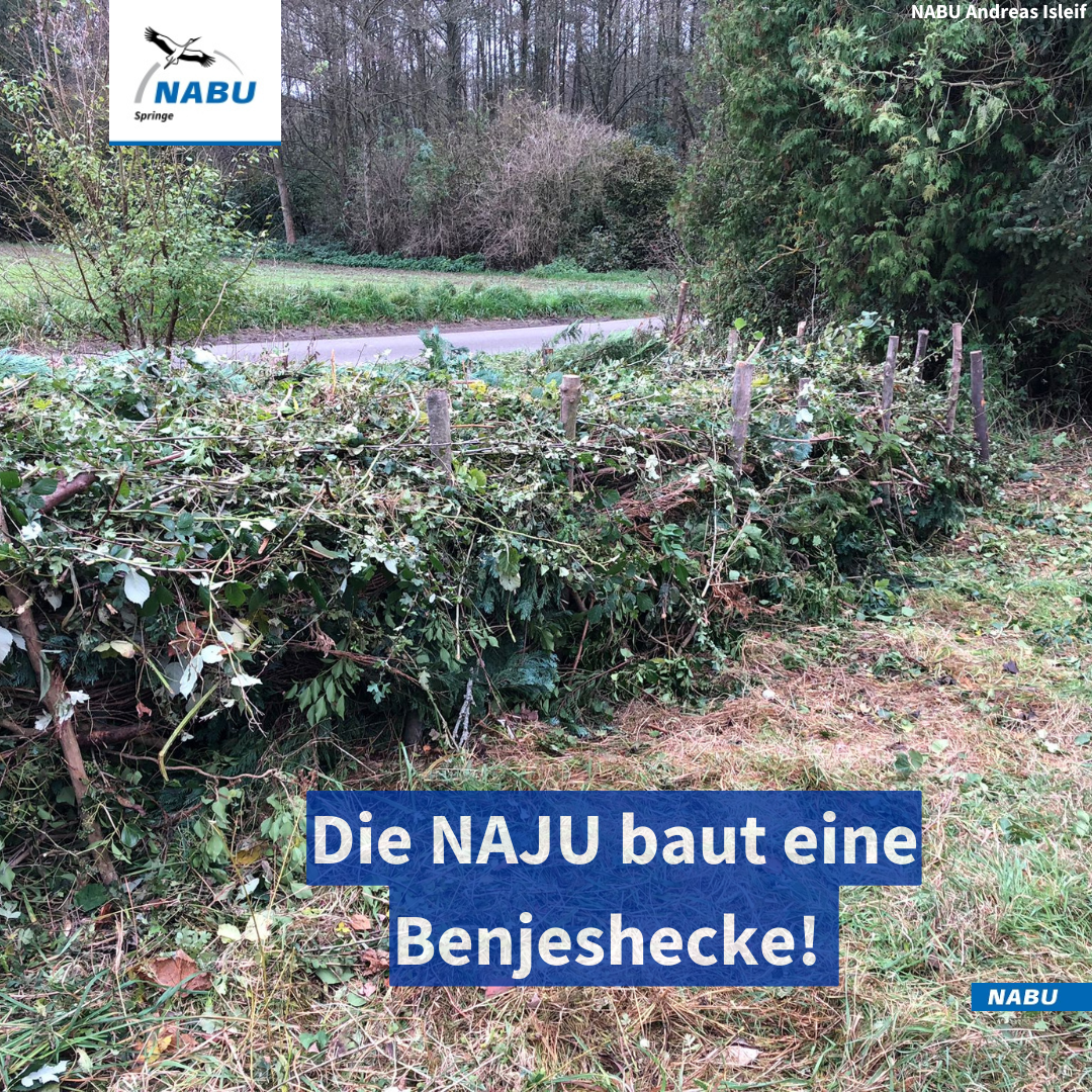 Eine Benjeshecke am Zugang zur Feuchtwiese