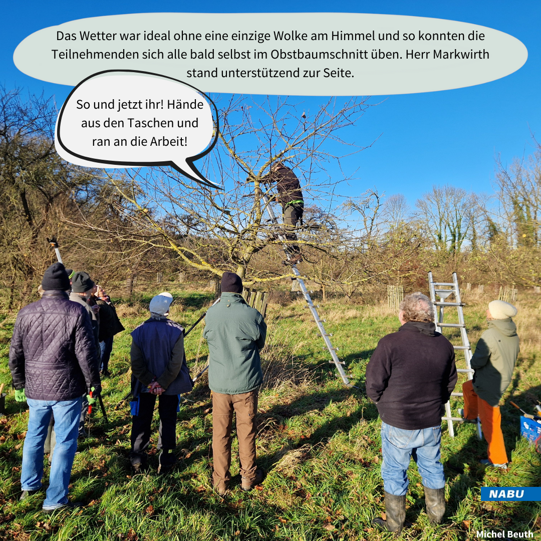 ...wie die Theorie in der Praxis umgesetzt wird.