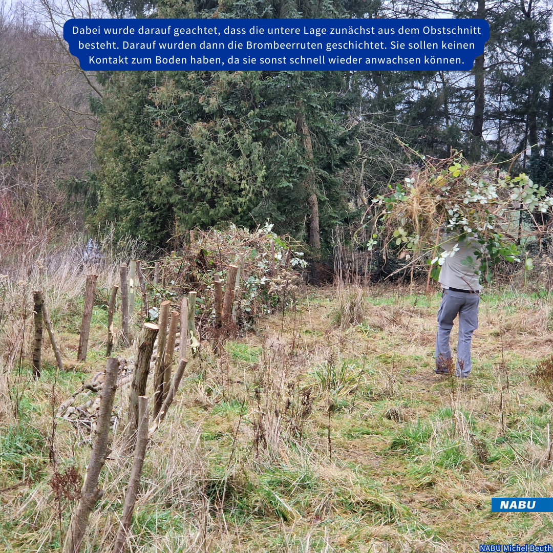 Sie wächst und wächst