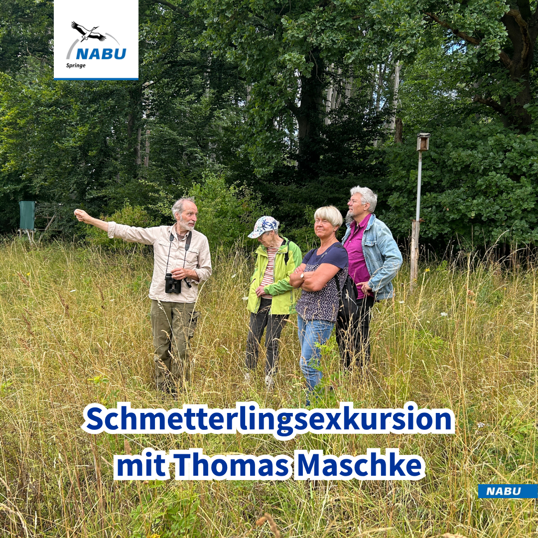 Schmetterlingsexkursion