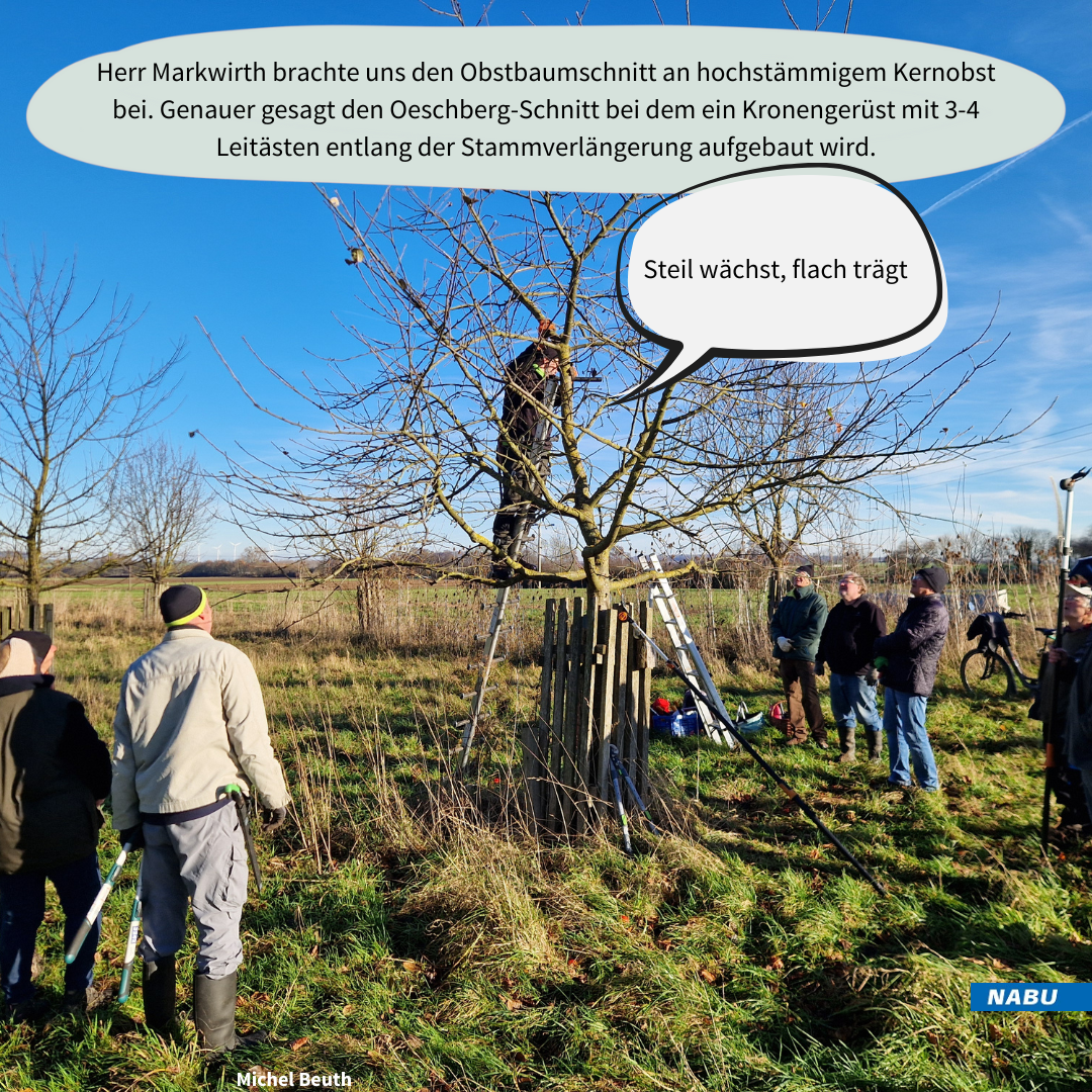 Erst wird zugeschaut...