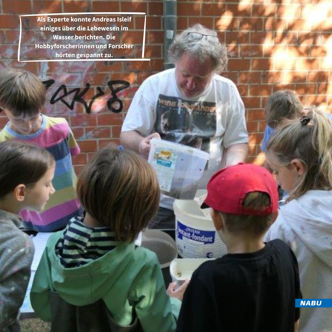 In Klarsichtbehältern kann beobachtet werden