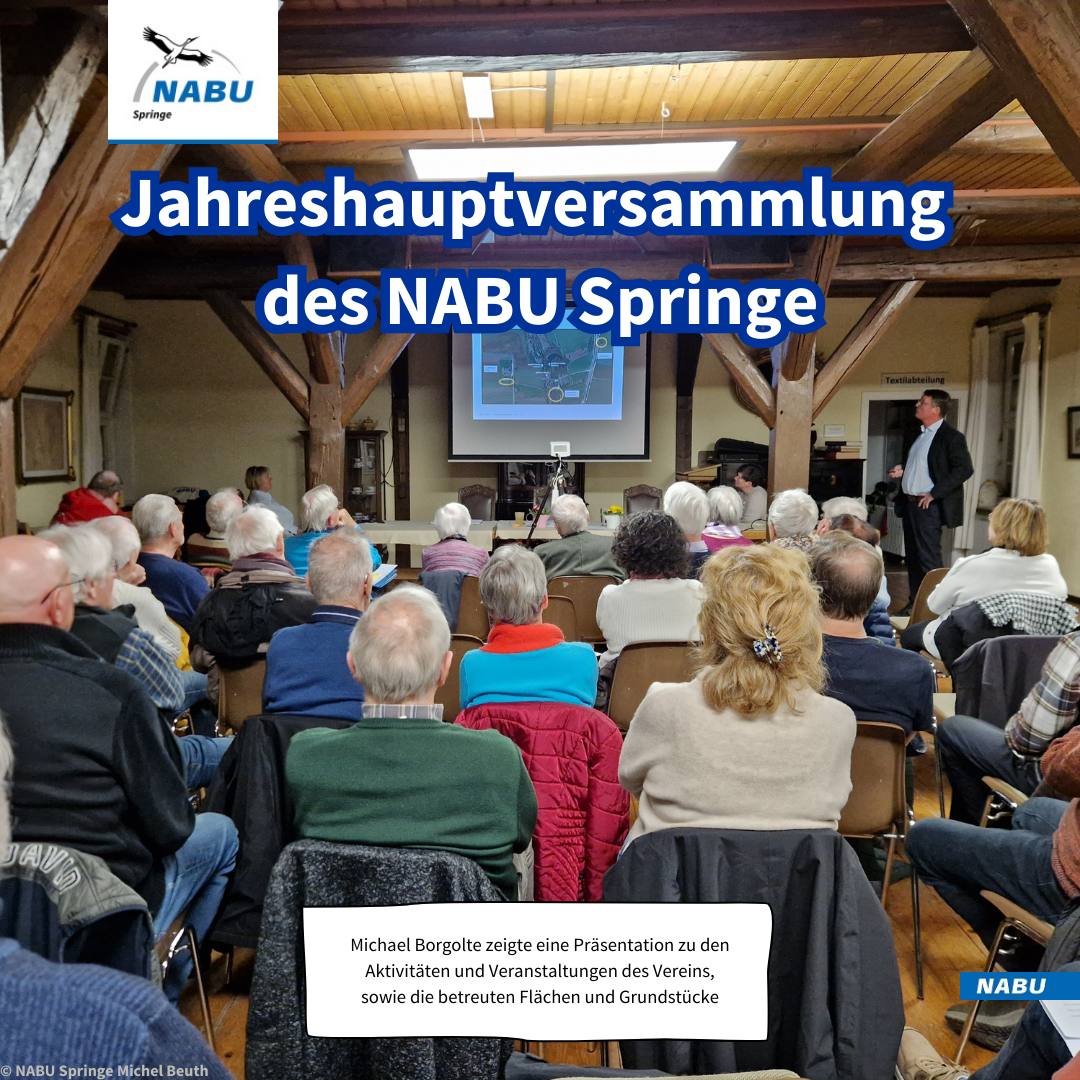 Michael Borgolte berichtet zu den Aktivitäten und Veranstaltungen des Vereins