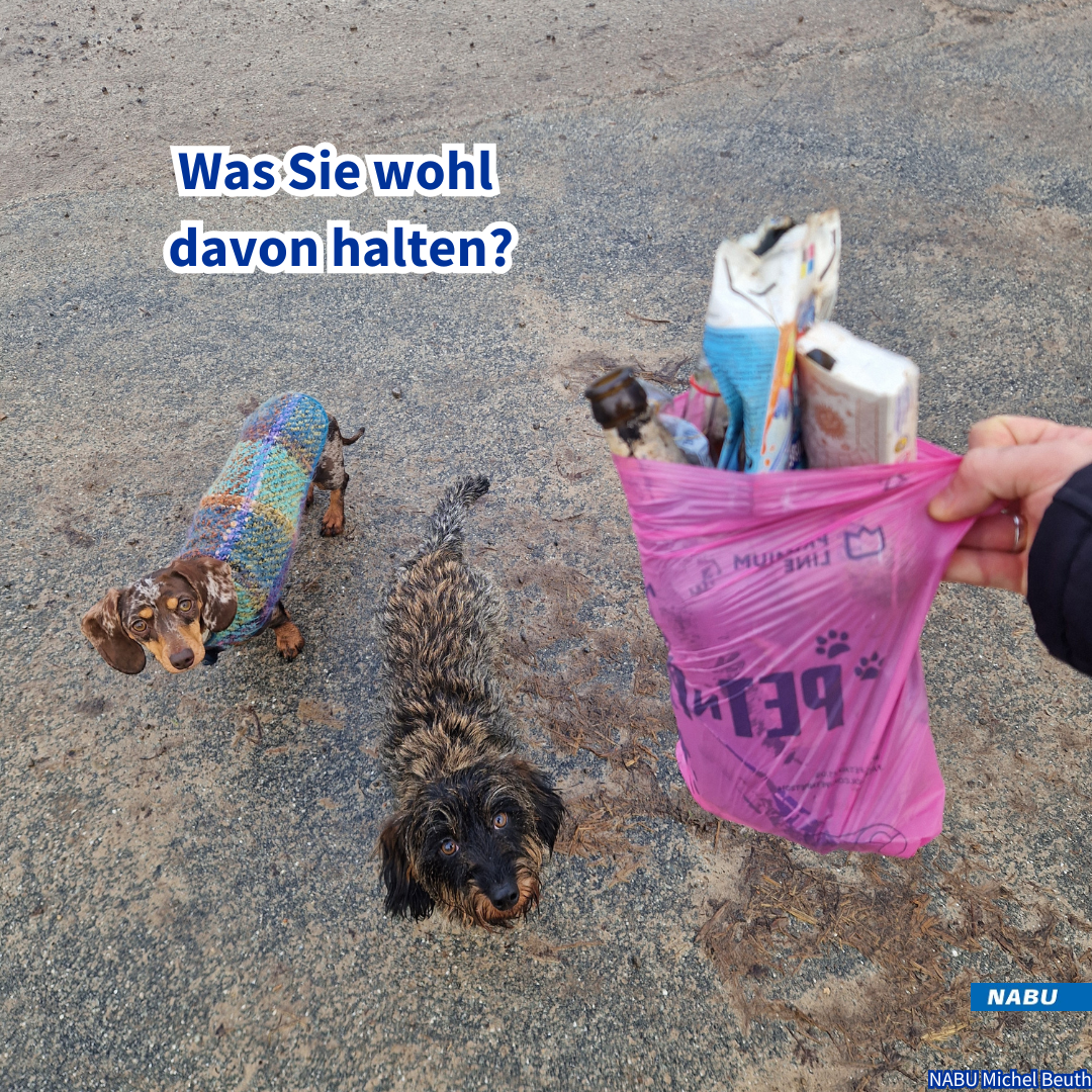 Doch jede*r kann etwas bewirken