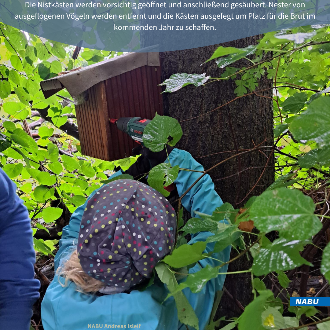 Öffnen mit dem Akkuschrauber