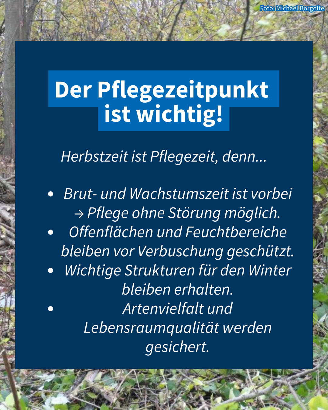 Herbstzeit ist Pflegezeit