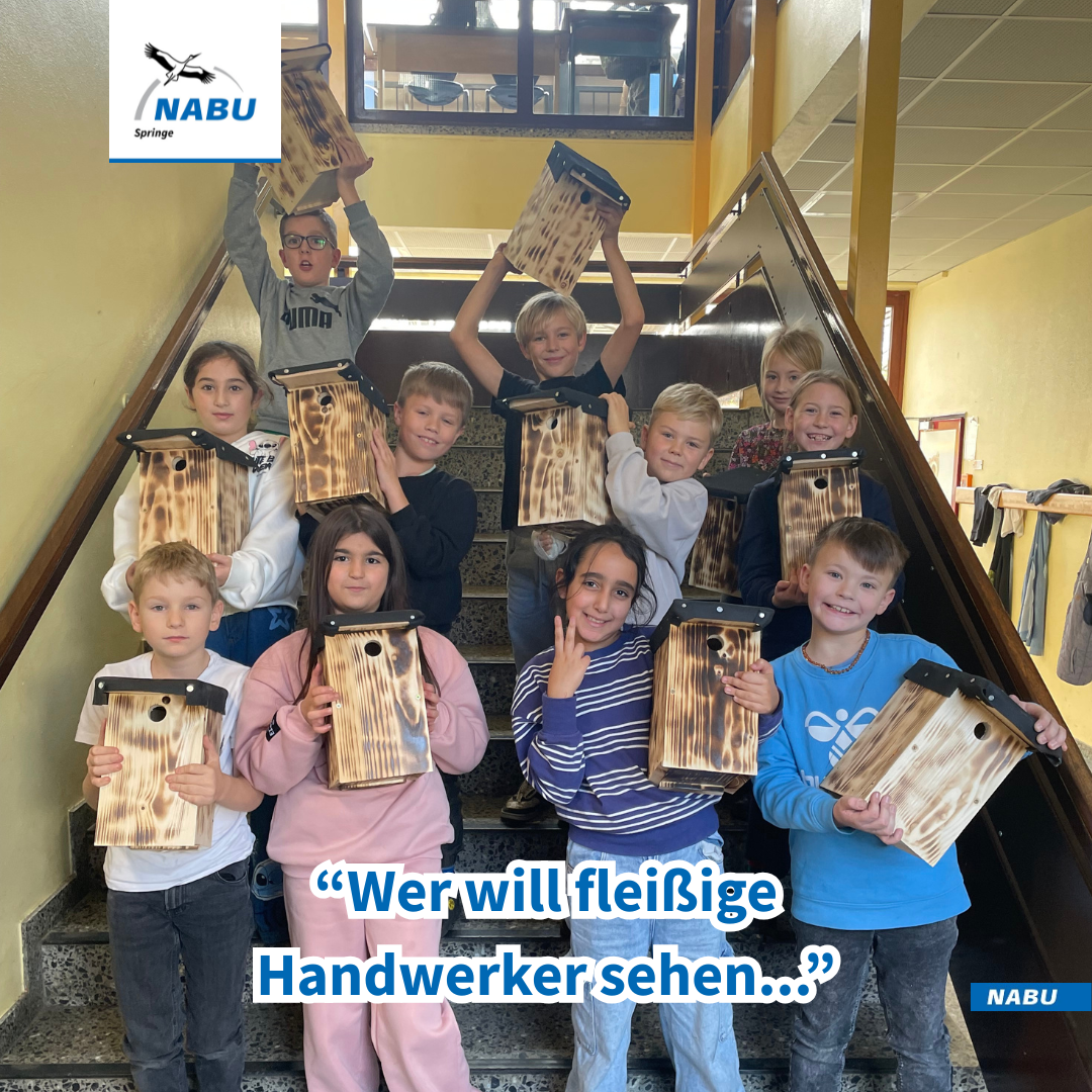 Stolze Schüler*innen mit selbstgebauten Nistkästen