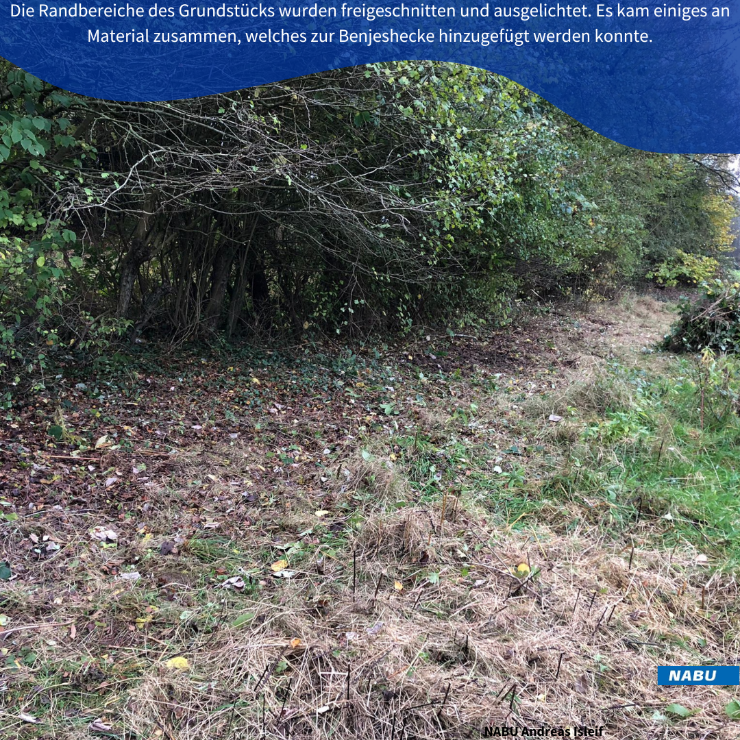 Die Grundstückgrenze hinterher