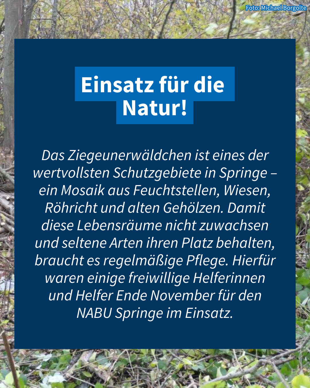 Was ist das Ziegeunerwäldchen