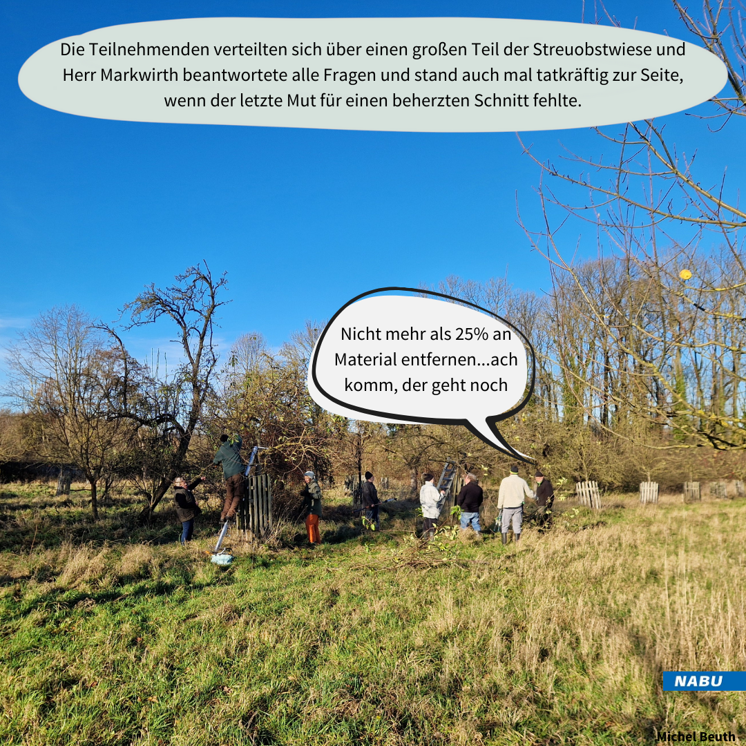 Die Gruppe bei der Arbeit