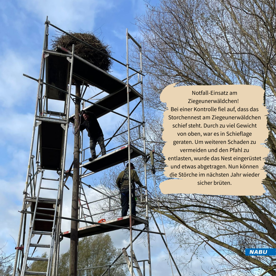 Das Team bei der Arbeit