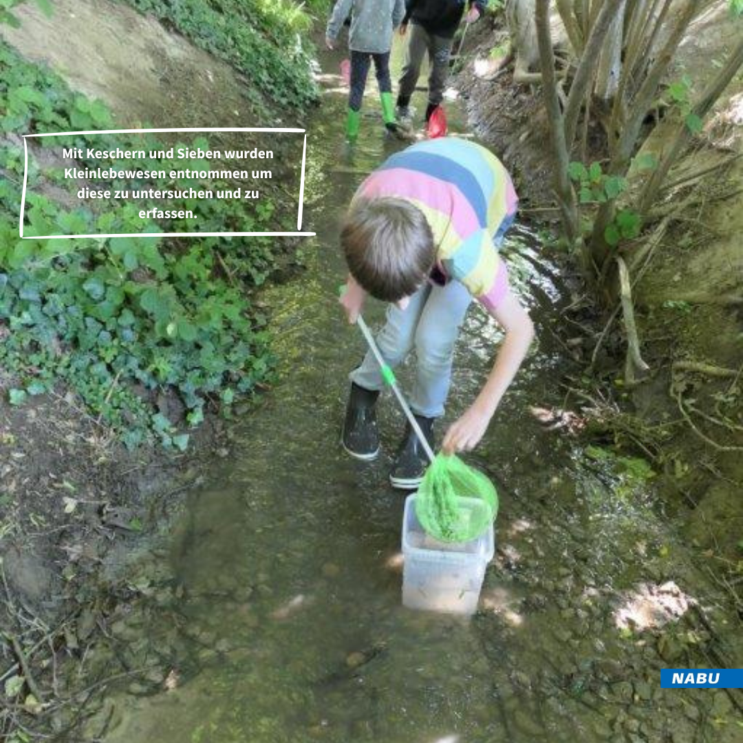 Der Bestand wird überprüft und das Gewässer auf seine Qualität getestet