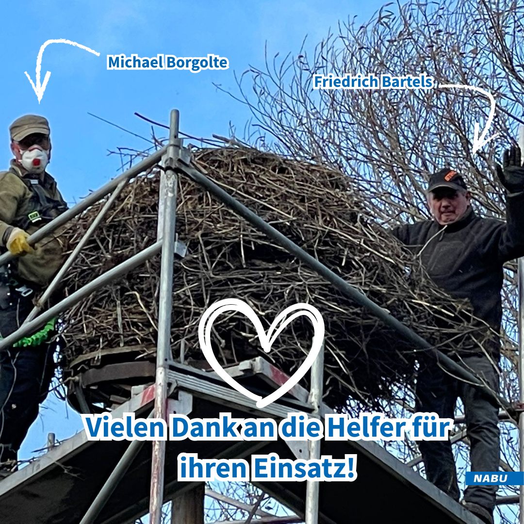 Ein Teil des Nests muss weichen