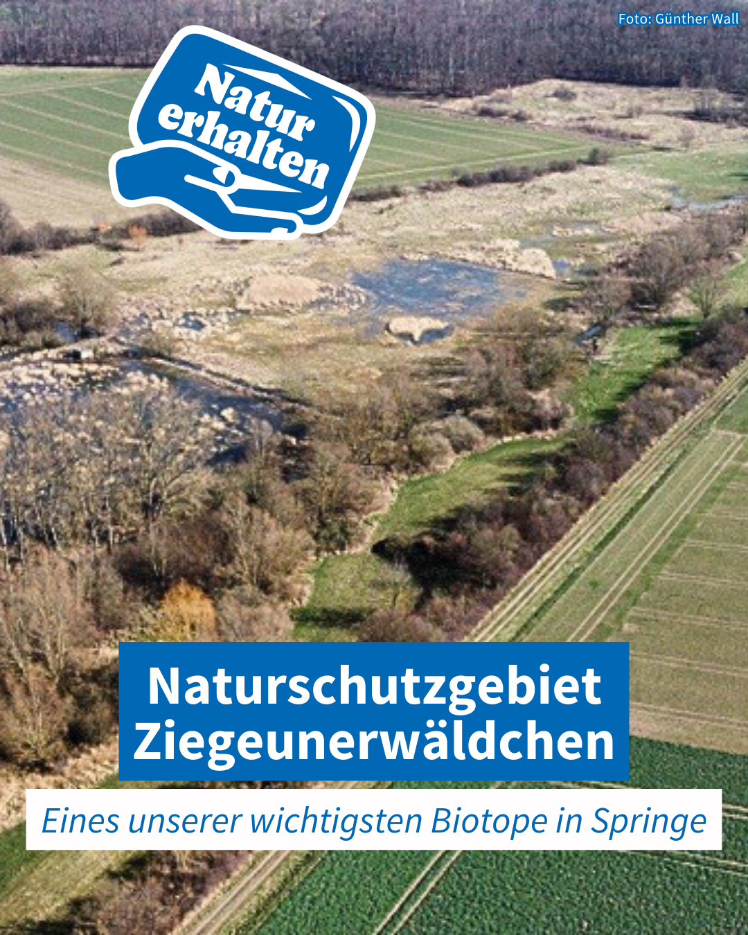 Biotop von Oben - Abwechslungsreiche Flächen