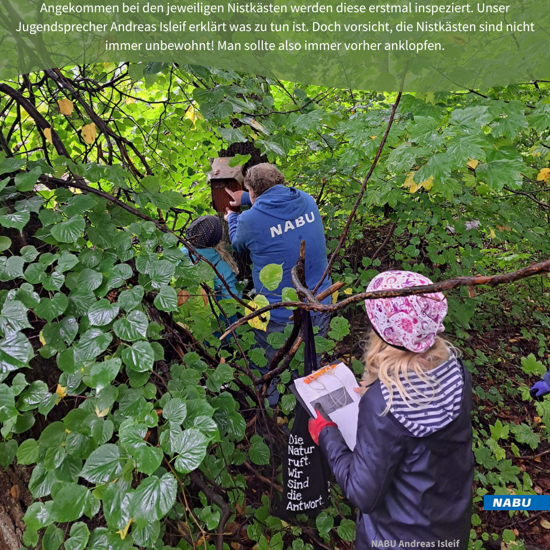 Der Nistkasten ist erreicht