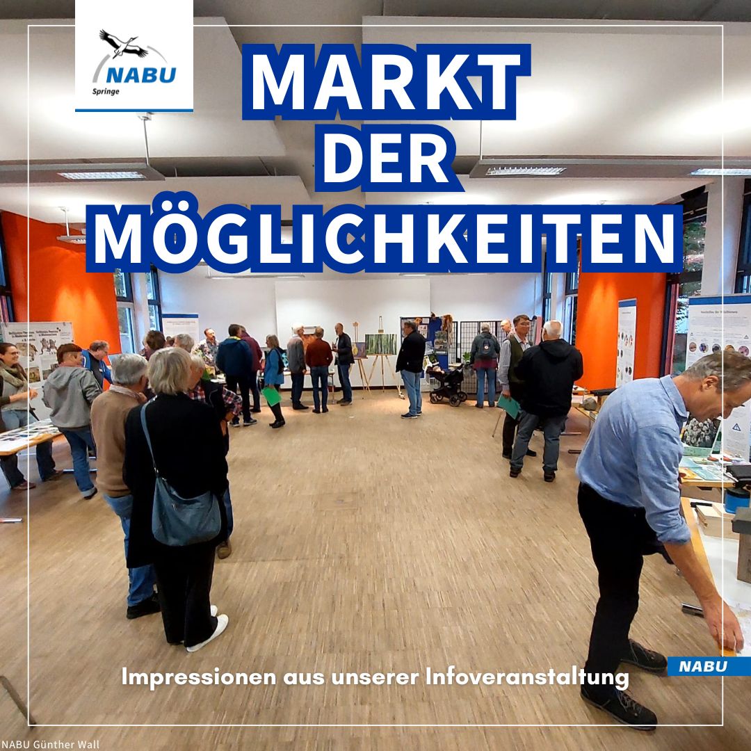 Markt der Möglichkeiten