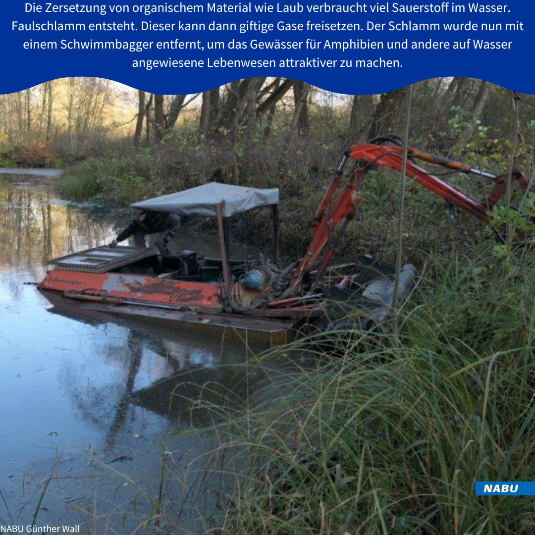 Der Schwimmbagger im Teich © Günther Wall