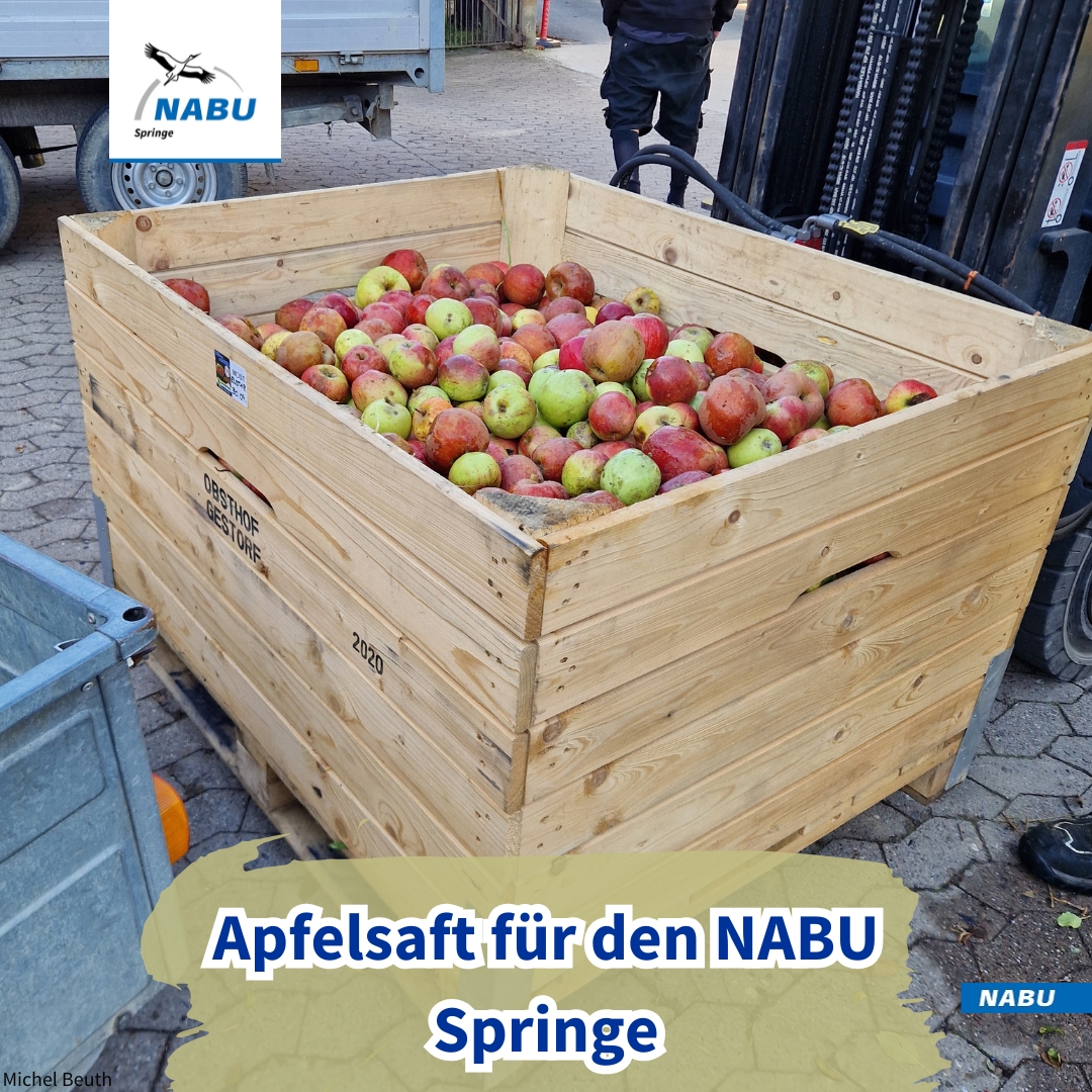 250 kg Äpfel