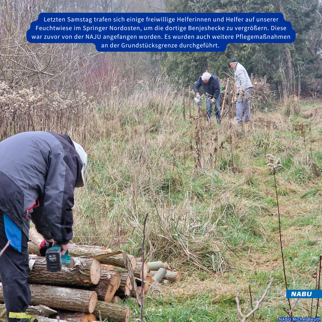Helfende tragen Material herbei