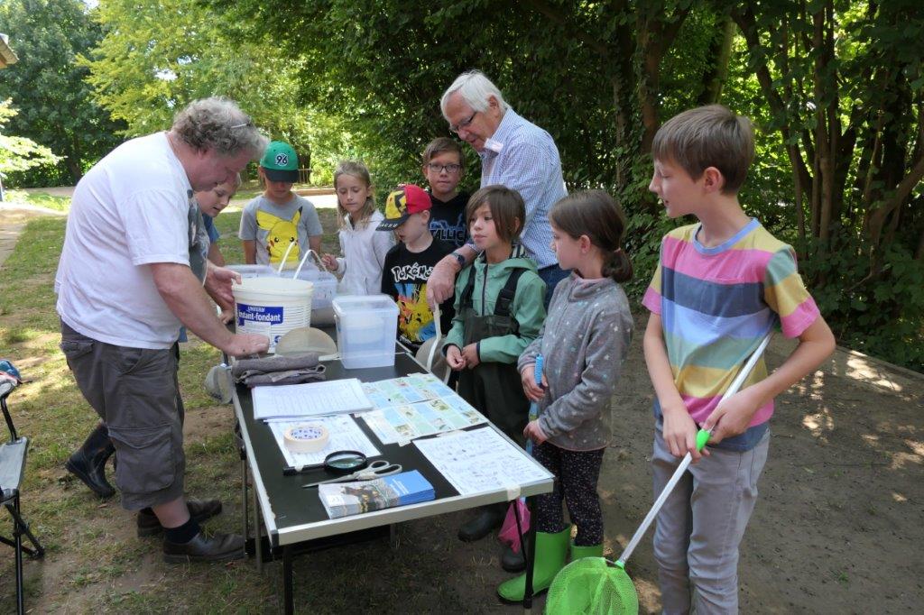 Die Kinder untersuchen Gewässerproben unter Anleitung