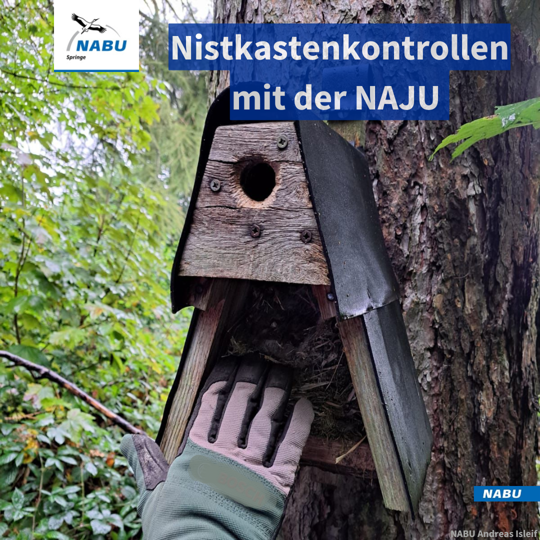 Nistkastenkontrollen mit der NAJU