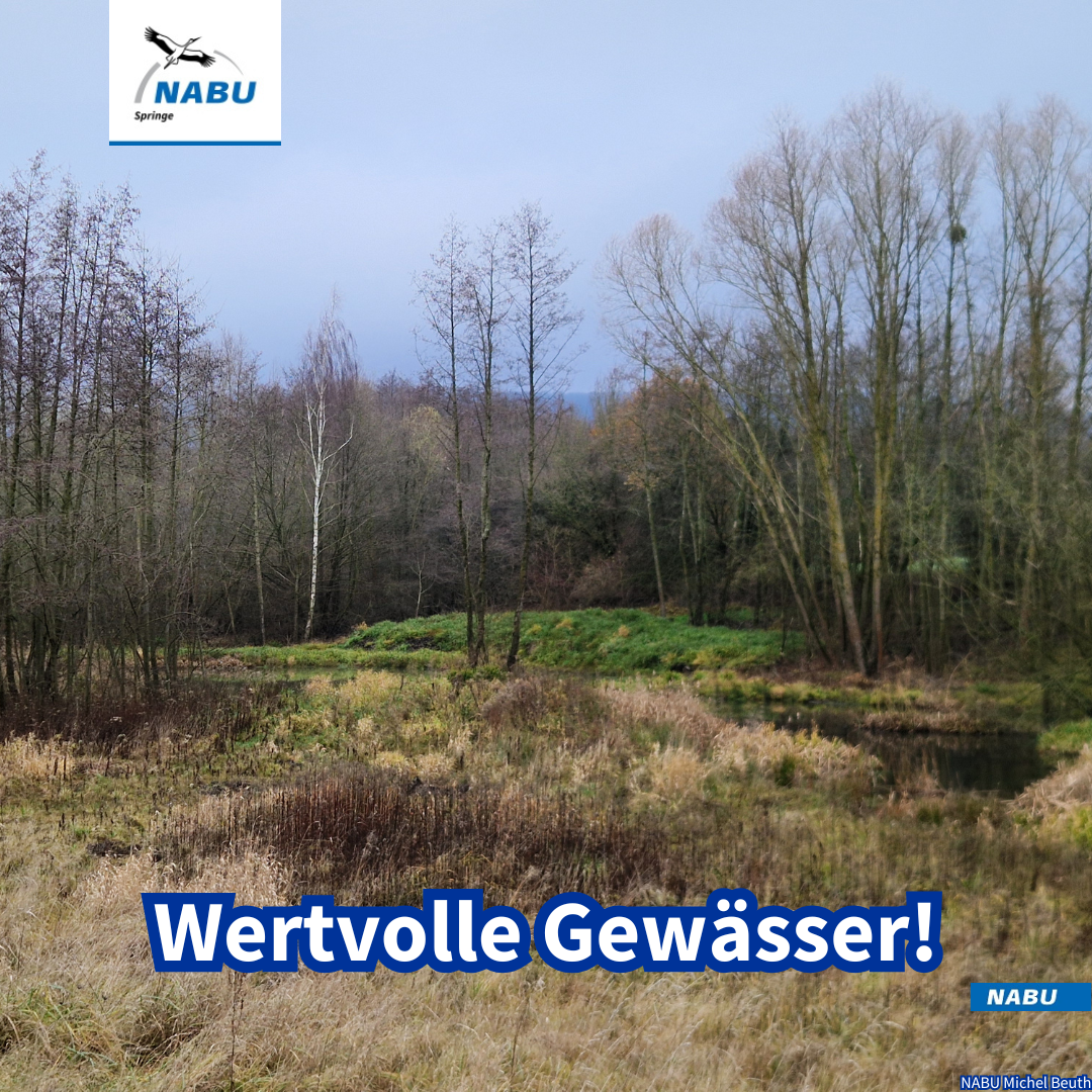 Das vertvolle Rückhaltebecken