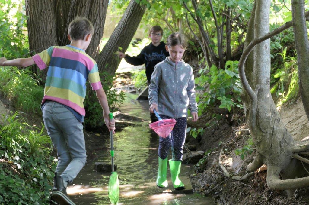 Die Gewässeruntersuchungen locken viele kleine Forschende an