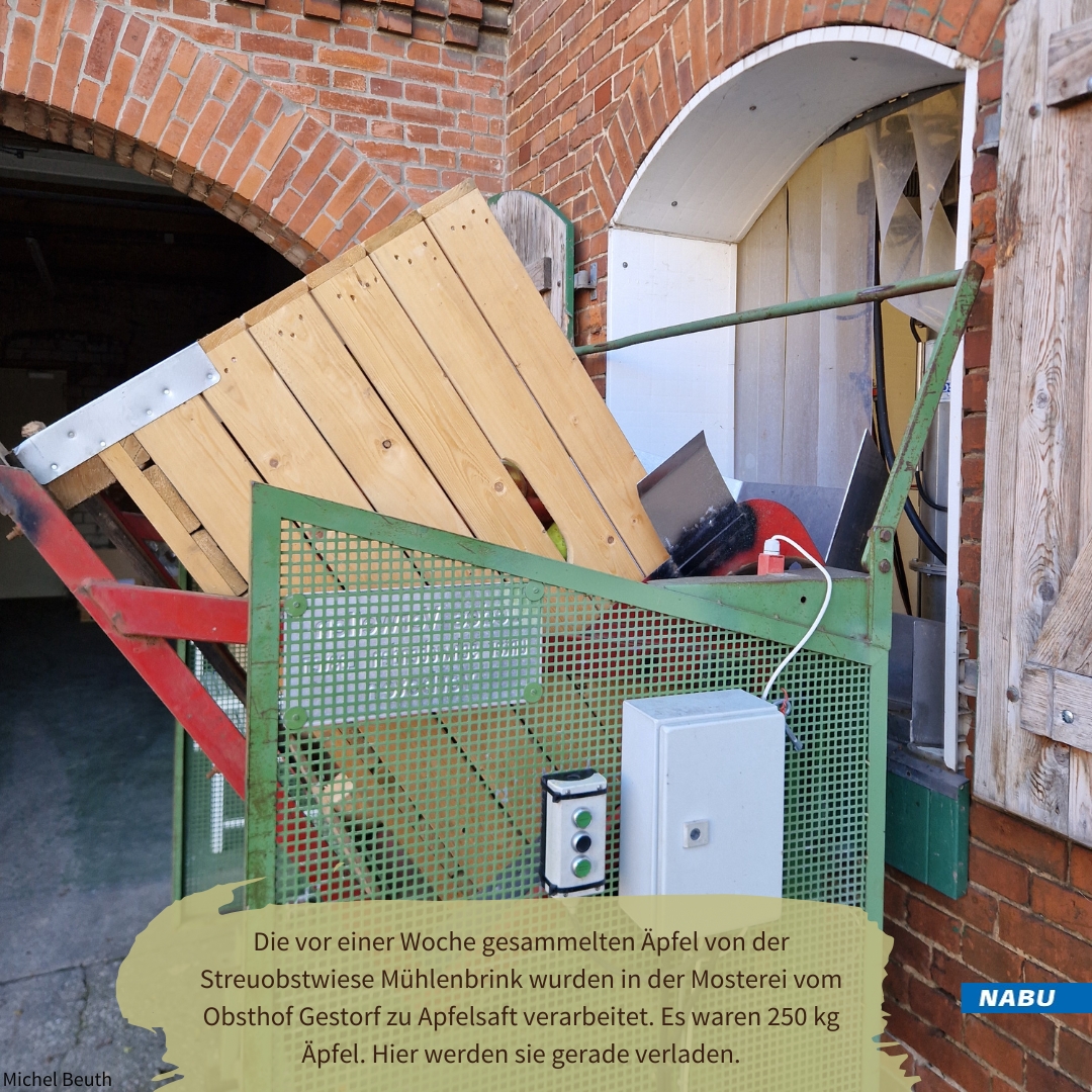Verladung der Äpfel