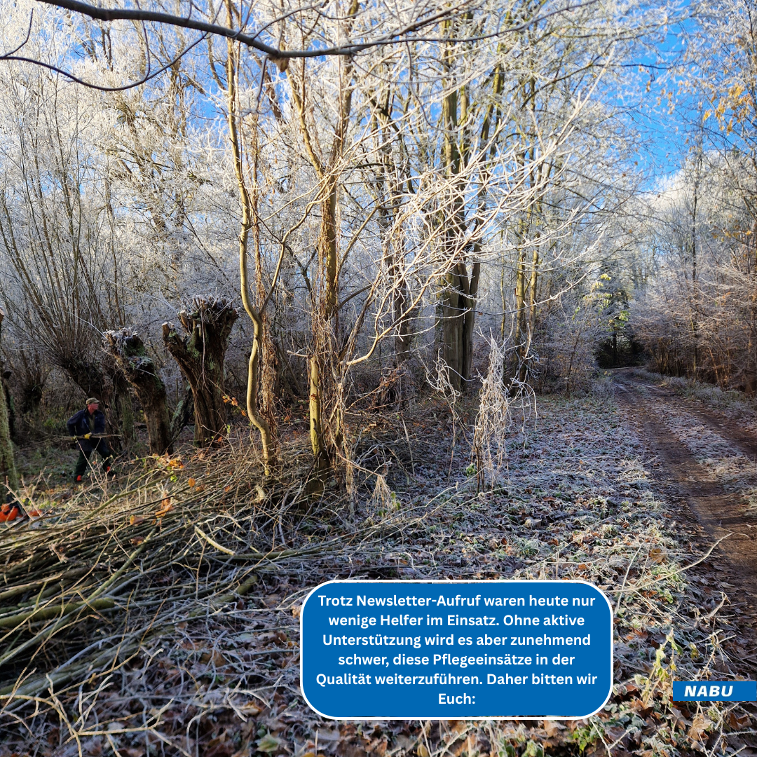 Heute leider wenige Helfer