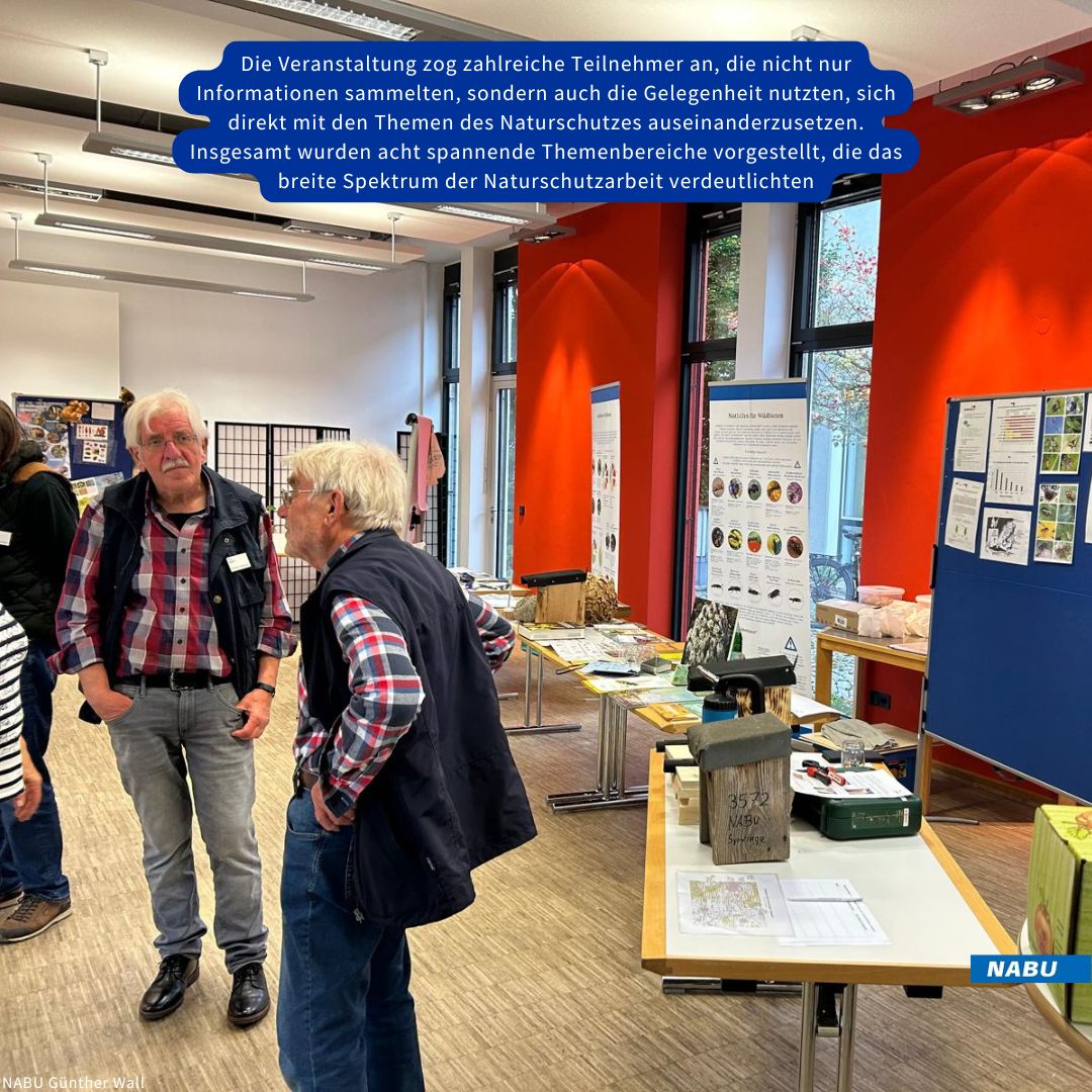 Nistkastenbau und Grundstücke