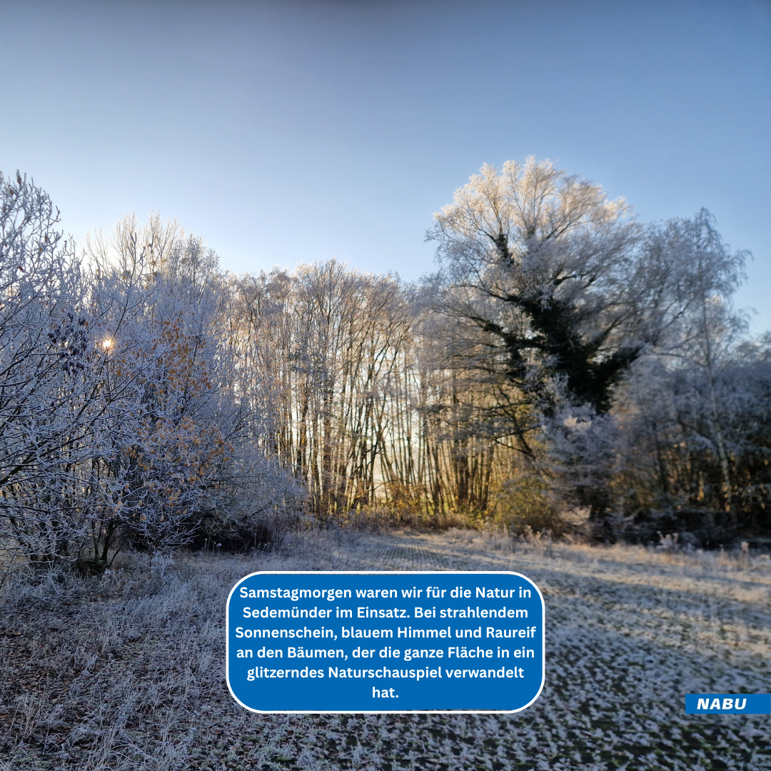 Perfektes Wetter am Morgen