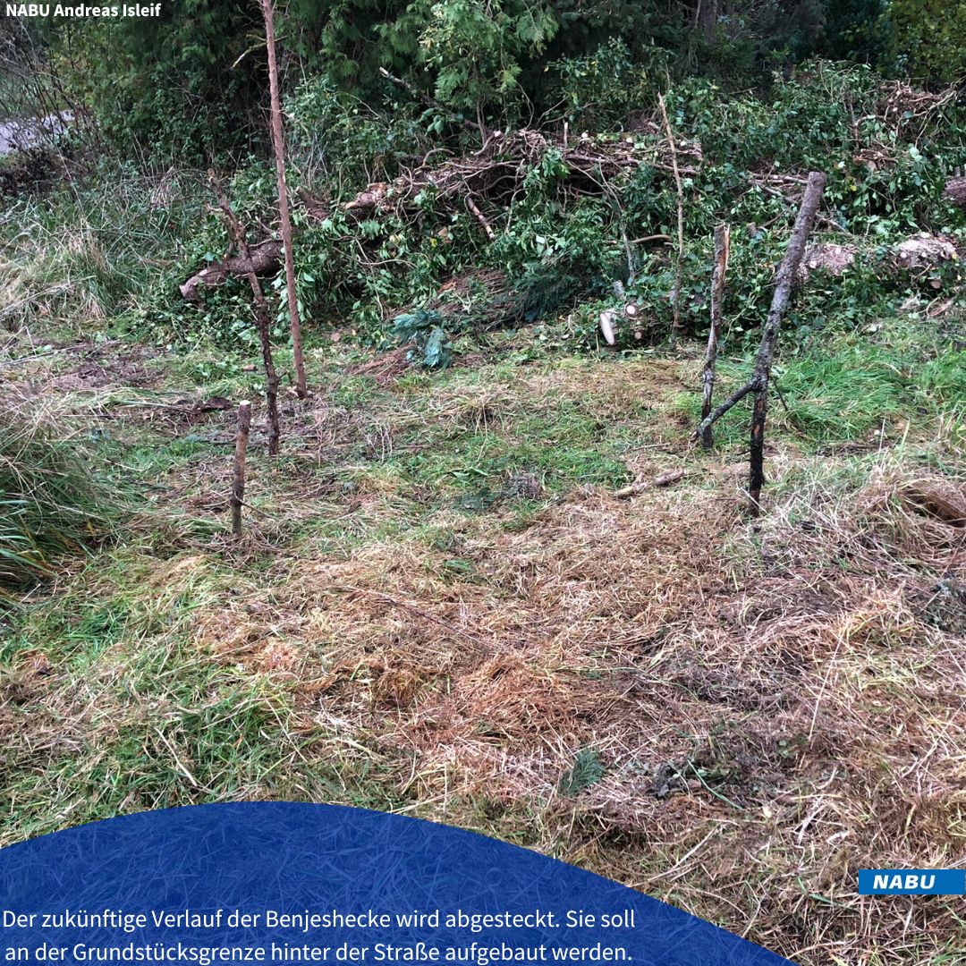 Die ersten Pfähle sind gesetzt