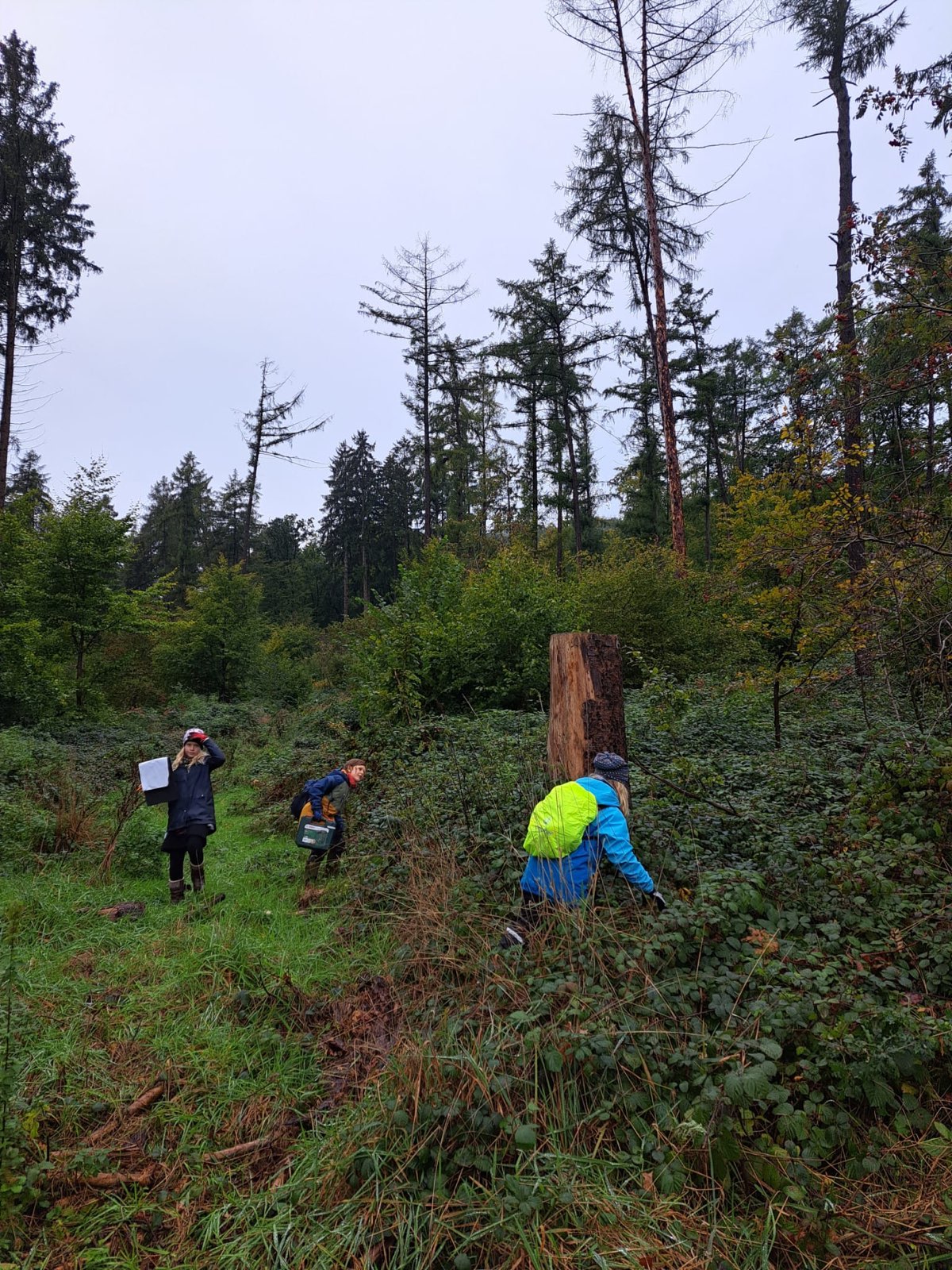Es geht querfeldein, über Stock und Stein