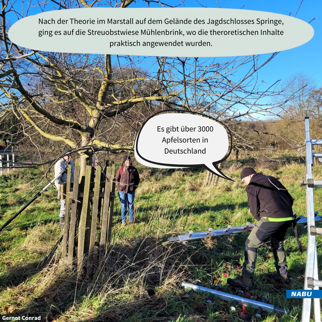 Praxis auf der Streuobstwiese - Arbeitsmaterial wird vorgestellt