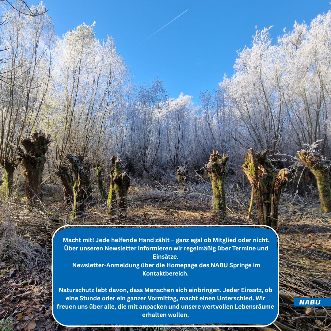 Apell für aktive Mithilfe