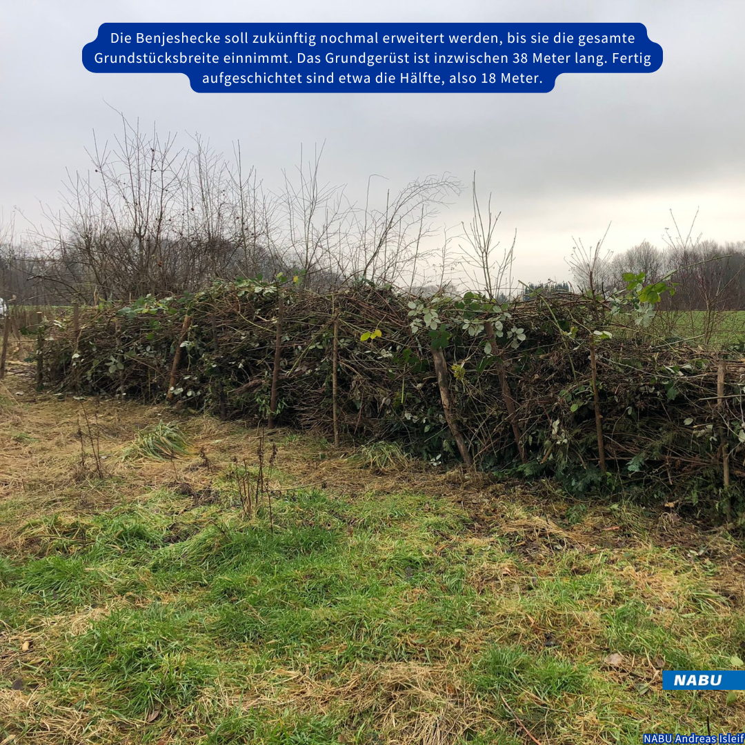 38 Meter Pfähle gesetzt und 18 Meter fertiggestellt © Andreas Isleif