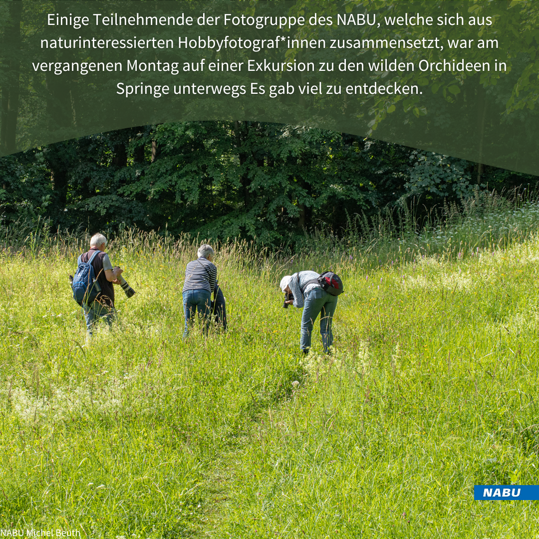 Auf der Pirsch am Skihang